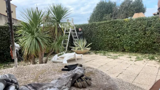 Entretien de jardin avec déduction d'impôts à La Grande-Motte, Montpellier, Bruno entretien vos jardins