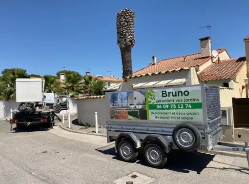Élagage d'arbre dangereux proche d'une maison à Montpellier, Montpellier, Bruno entretient vos jardins