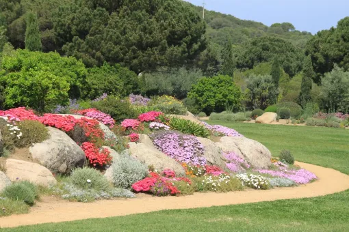Désherbage et entretien des massifs à Mauguio, Montpellier, Bruno entretient vos jardins