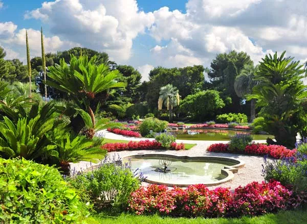 Installation de massifs d'arbustes autour d'une maison à Montpellier, Montpellier, Bruno entretien vos jardins