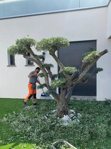 Comment bien entretenir son jardin toute l’année ?, Montpellier, Bruno entretient vos jardins