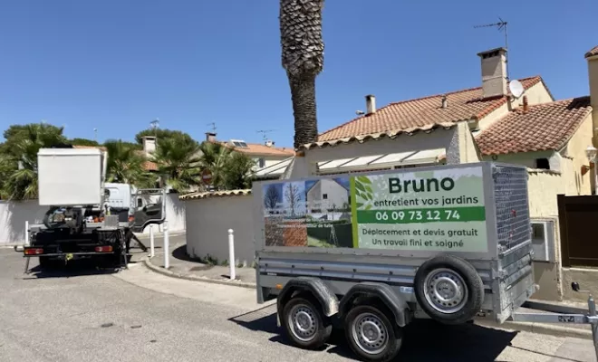 Coupe et abattage d’arbres, Montpellier, Bruno entretien vos jardins