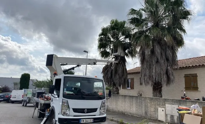 Coupe et abattage d’arbres, Montpellier, Bruno entretient vos jardins