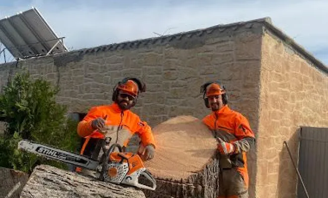 Coupe et abattage d’arbres, Montpellier, Bruno entretient vos jardins