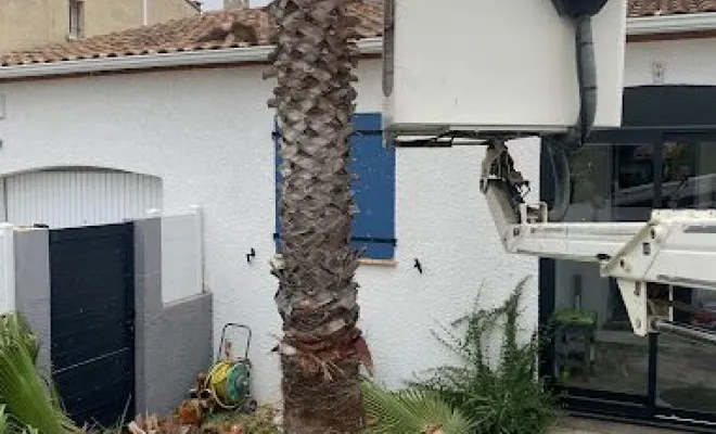 Coupe et abattage d’arbres, Montpellier, Bruno entretient vos jardins
