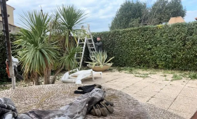 Taille de haie, Montpellier, Bruno entretient vos jardins
